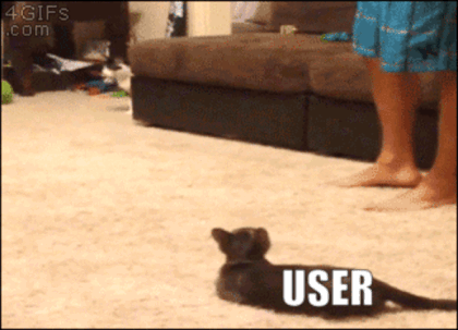 BSL effect ?